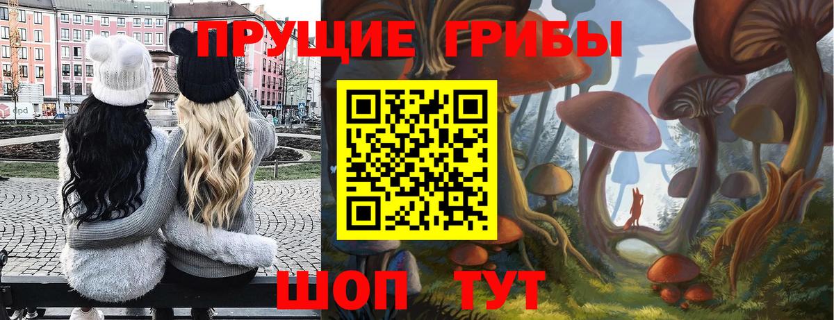 продажа наркотиков  Галлюциногенные грибы мухоморы  Вход с VPN  Жуковский 